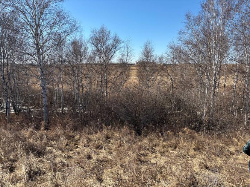 Фото В Челябинской области заключён под стражу мужчина, убивший односельчанина