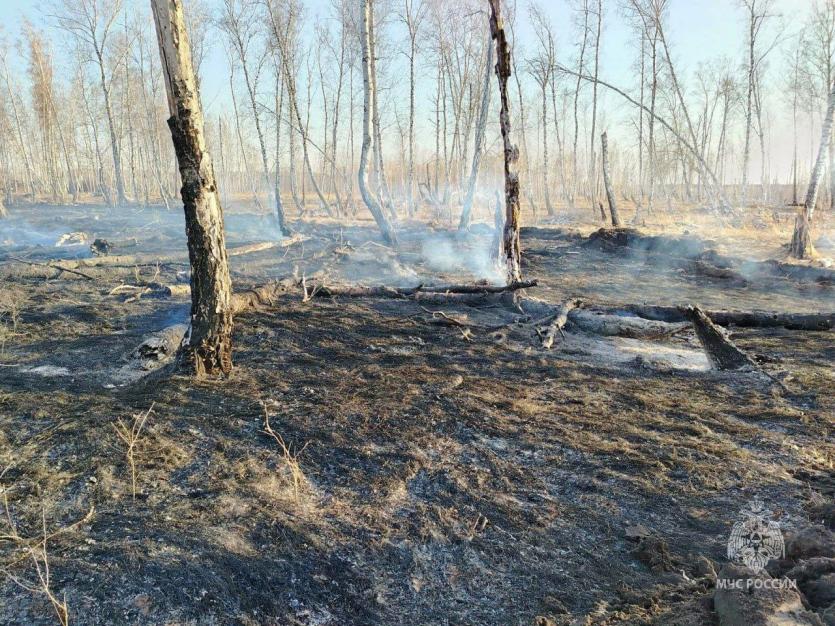 Фото В Увельском районе Челябинской области случился лесной пожар на 2,2 гектара