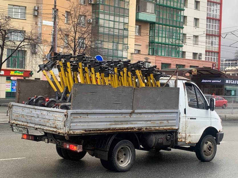 Фото Челябинский зоопарк запретил передвижение на самокатах по своей территории