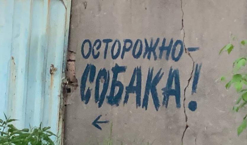 Фото Суд обязал администрацию Челябинска выплатить компенсацию подросткам, пострадавшим от бродячих собак