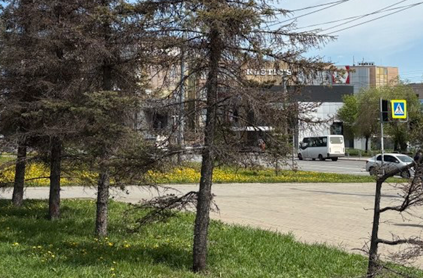 Фото На привокзальной площади в Челябинске вырубят деревья