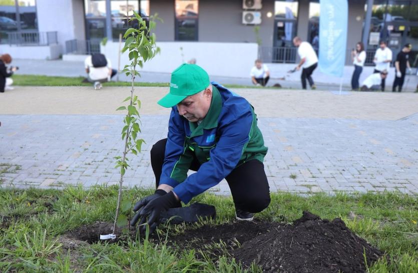 Фото В Челябинске озеленили улицу Энгельса