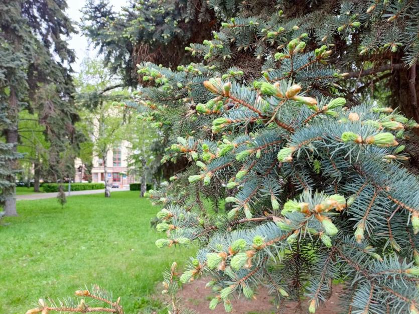 Фото Вторник в Челябинской области принесет жителям дожди и грозы