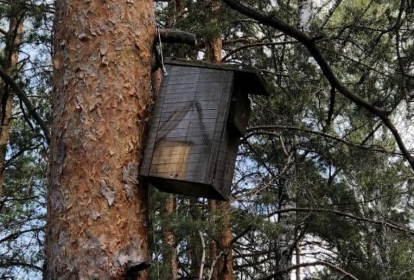 Фото Пернатые обитатели Челябинского городского бора получили улучшенное жилье