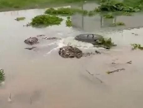 Фото Прокуратура выяснит детали затопления Шершнёвского водохранилища прорвавшимися фекалиями