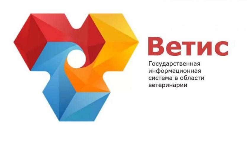 Фото В России из-за вирусной атаки ветеринарные документы временно оформляют на бумаге