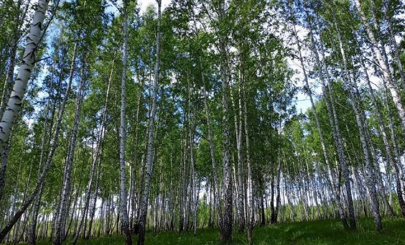 Фото В родной Троицк из плена вернулись двое военнослужащих