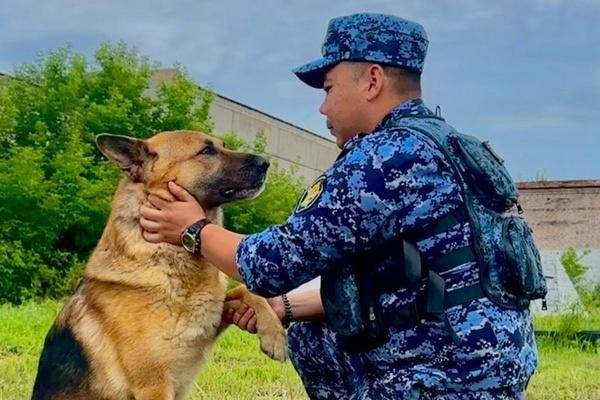 Фото В ГУФСИН Челябинской области отметили свой праздник сотрудники, работающие в паре с четвероногими