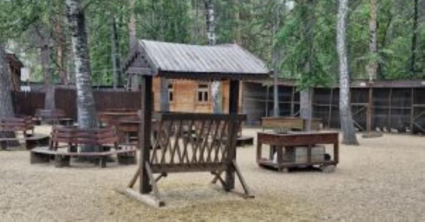 Фото В Челябинске нашли нарушения в контактном зоопарке
