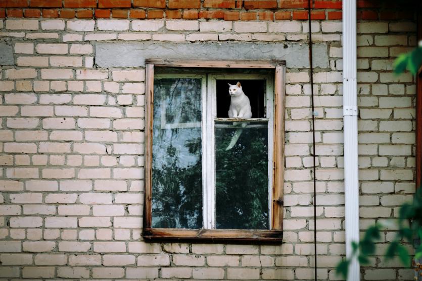Фото События и мероприятия на пятое июня 