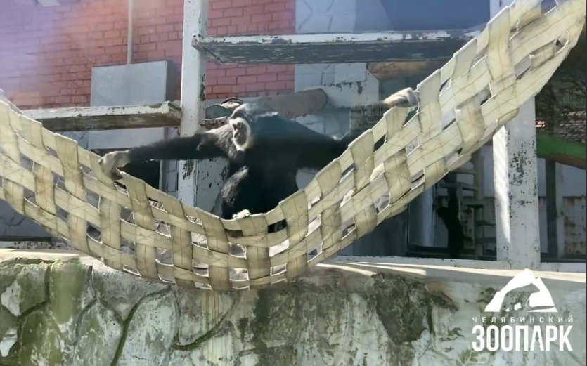 Фото В Челябинской области 16 июня жара сохранится, местами – до плюс 36 градусов