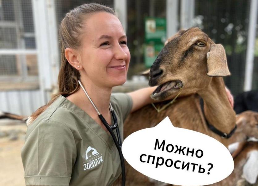 Фото Погода в выходные не порадует южноуральцев