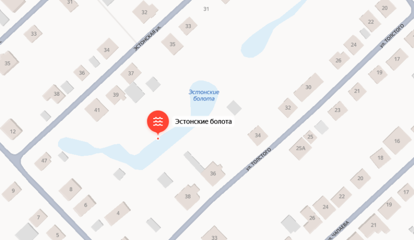 Фото В Челябинске хотят осушить Эстонские болота