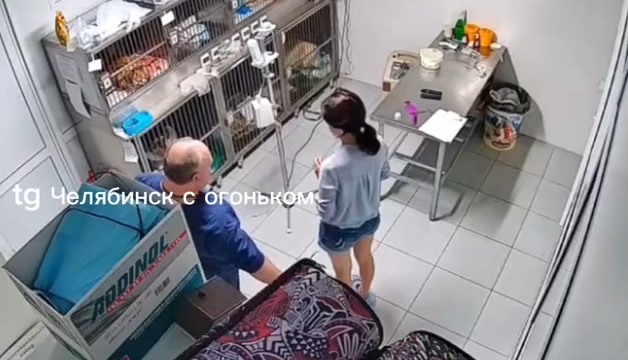 Фото В Челябинске мужчина с пистолетом ворвался в ветклинику