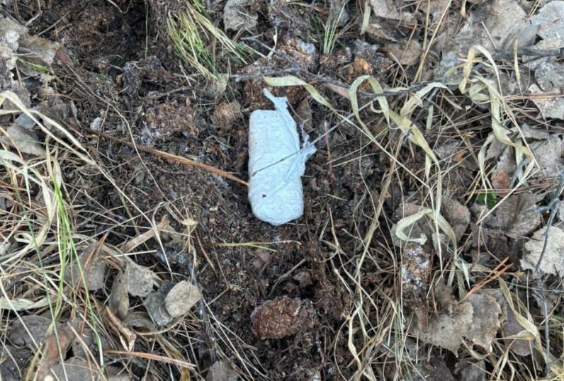 Фото В Челябинске поймали наркоторговку из Свердловской области