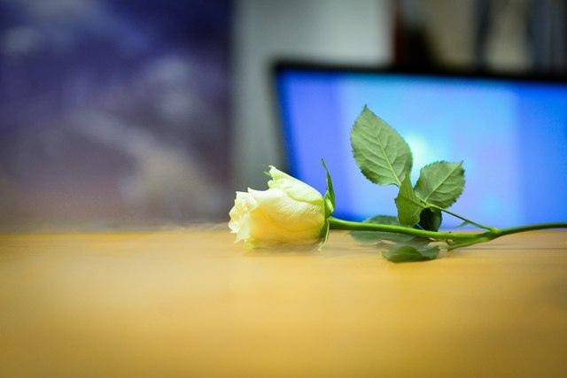 Фото События и мероприятия на 24 июля
