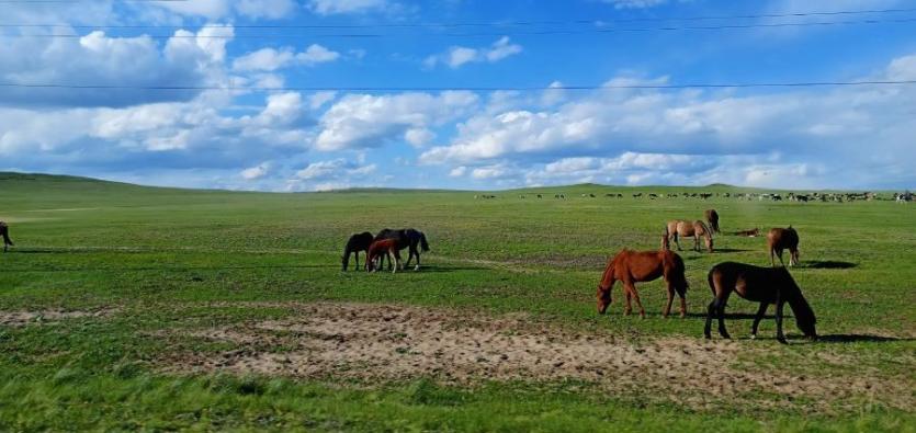 Фото Двадцать тысяч южноуральцев получают доплату к пенсии за работу в сельском хозяйстве