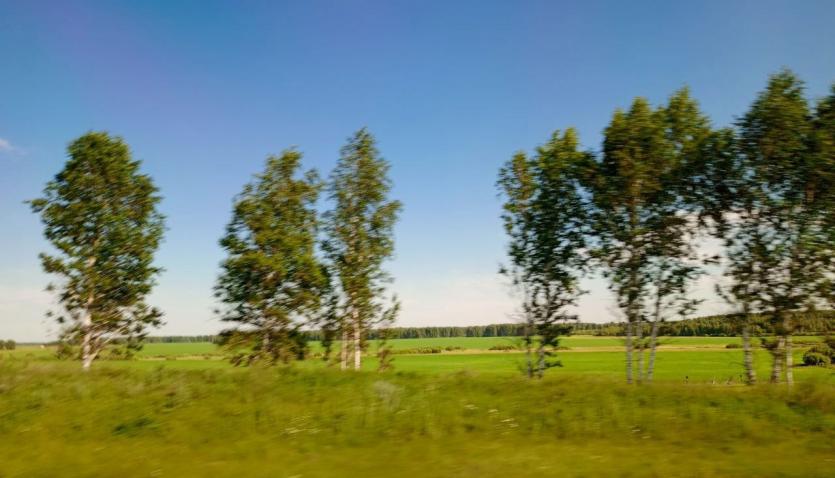 Фото Вторник в Челябинской области будет теплым, ожидаются осадки