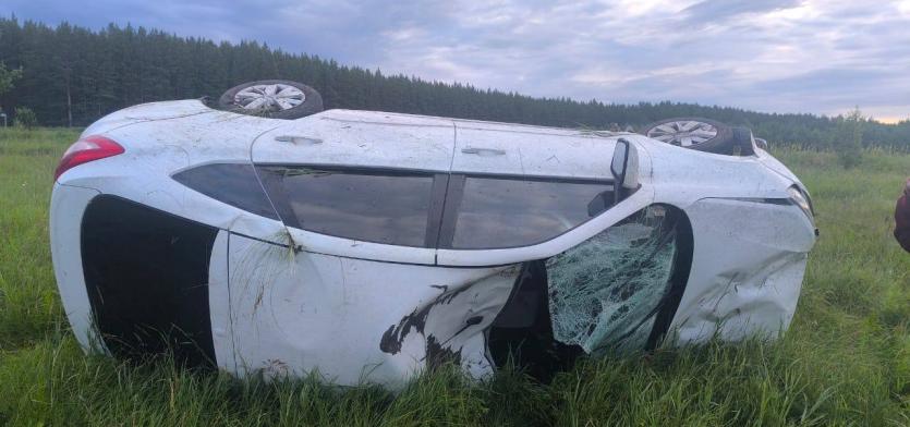 Фото В Верхнеуральском районе водитель сбил лося и погиб