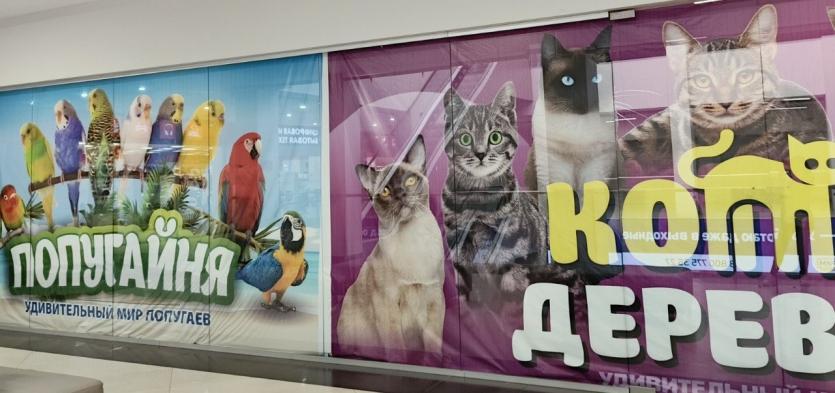Фото «Котодеревня» и «Попугайня» в Челябинске работают без лицензии