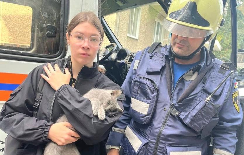Фото В Челябинске спасатели пришли на помощь застрявшему в окне коту