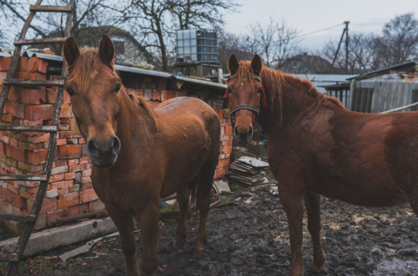 Фото События и мероприятия на 16 сентября