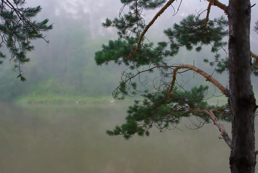 Фото Девятого сентября на Южном Урале – прохладно, сыро и ветрено