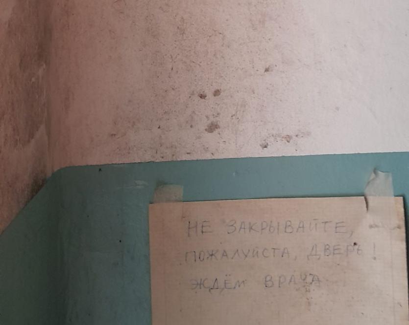 Фото По факту появления чёрной плесени в доме челябинцев с улицы Калинина могут возбудить дело