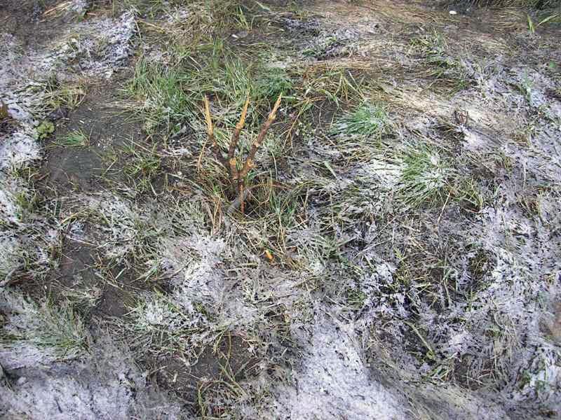 Фото Погода на Южном Урале второго, третьего и четвертого ноября