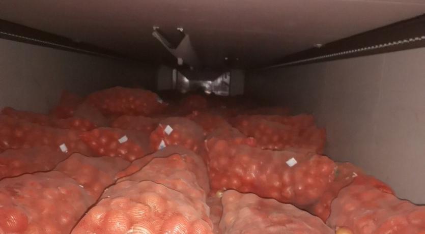 Фото В Челябинской области остановили лук из Казахстана