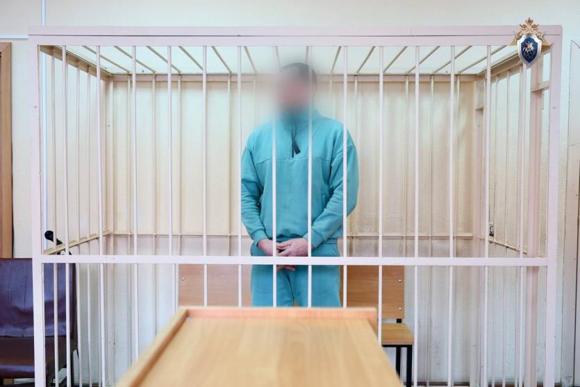 Фото Топ-менеджер челябинского «Арианта» отправлен в СИЗО