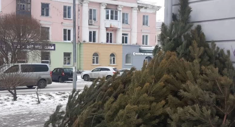 Фото В Челябинске будут контролировать работу ёлочных базаров