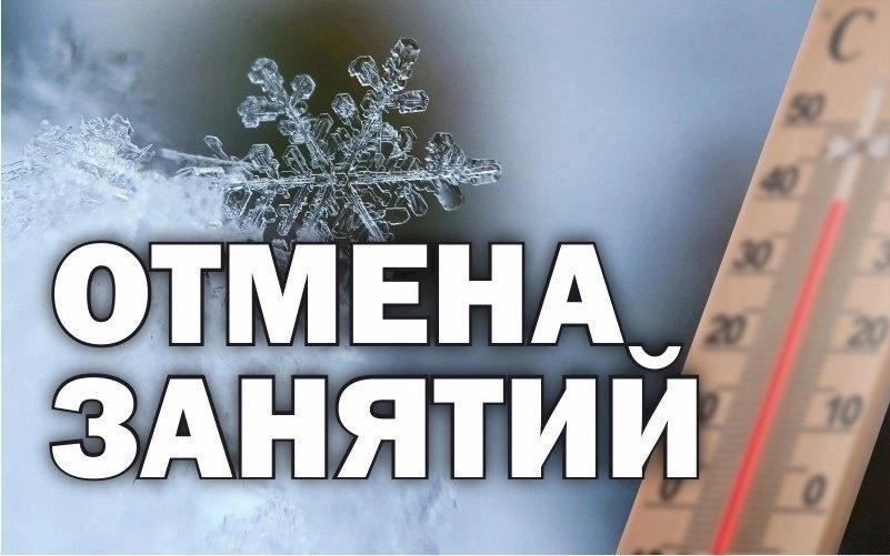 Фото Школьники Еткульского района 15 января будут учиться дистанционно