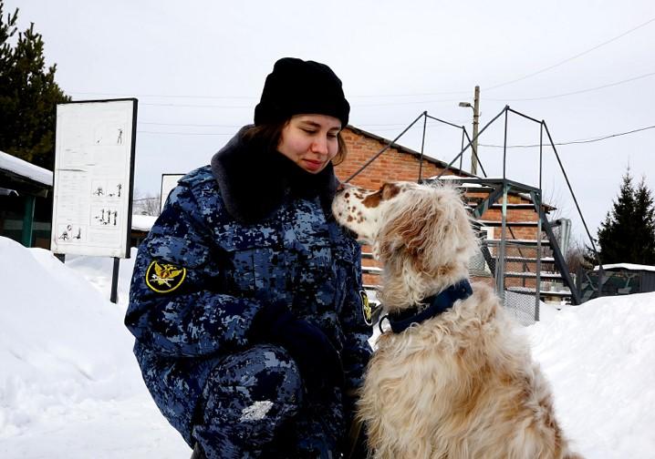 Фото Добрые дома и сосредоточенные на службе: истории собак-кинологов ГУФСИН