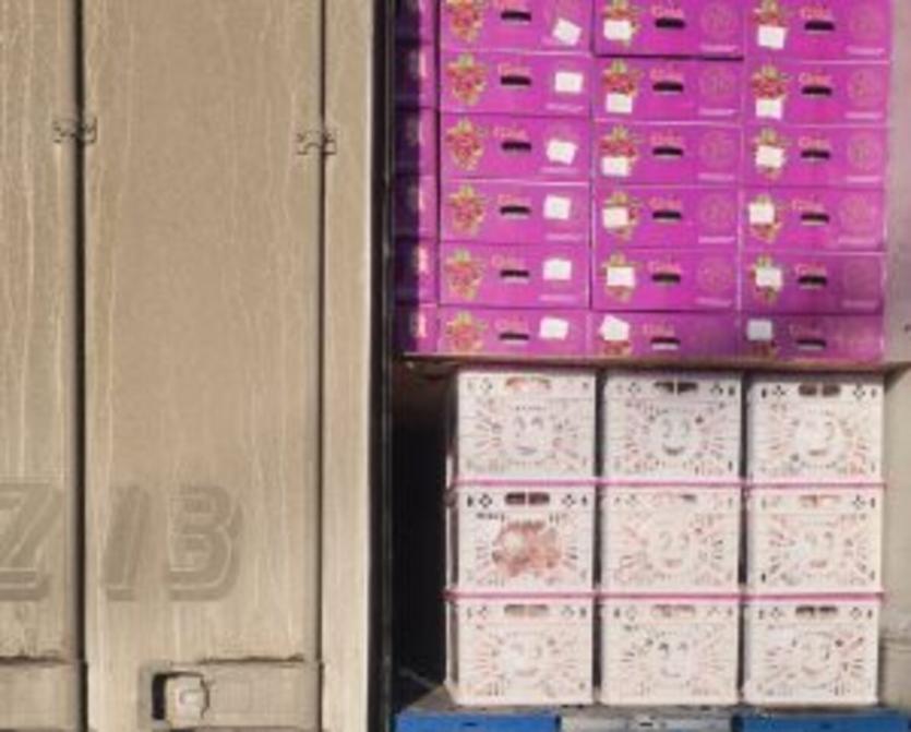 Фото Южный Урал вернул в Казахстан порядка 17 тонн импортных фруктов из-за неправильной маркировки
