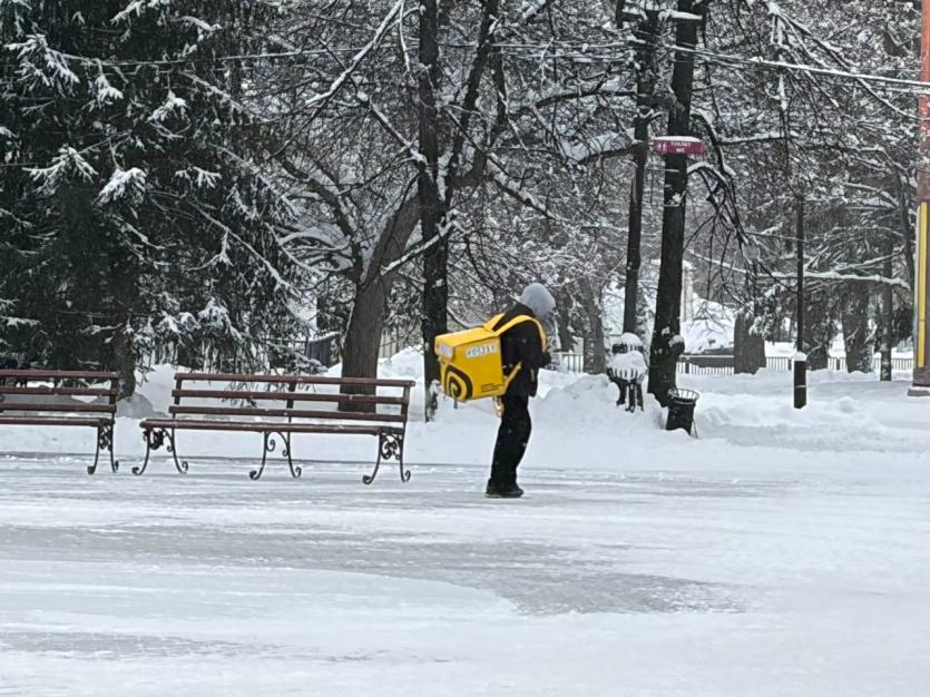 Фото В Челябинской области выросла зарплата пеших курьеров