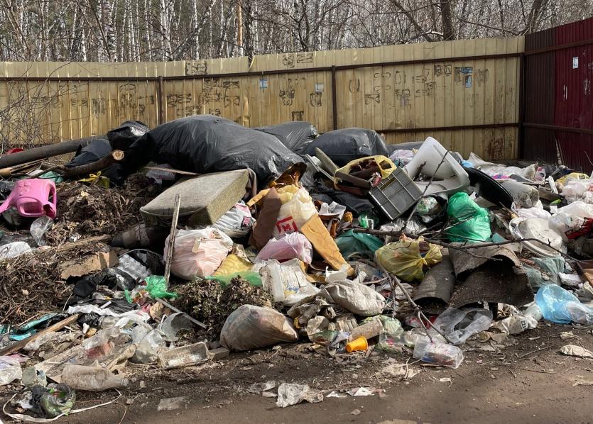Фото Челябинцы заявили о многолетней нелегальной свалке в Каштакском бору