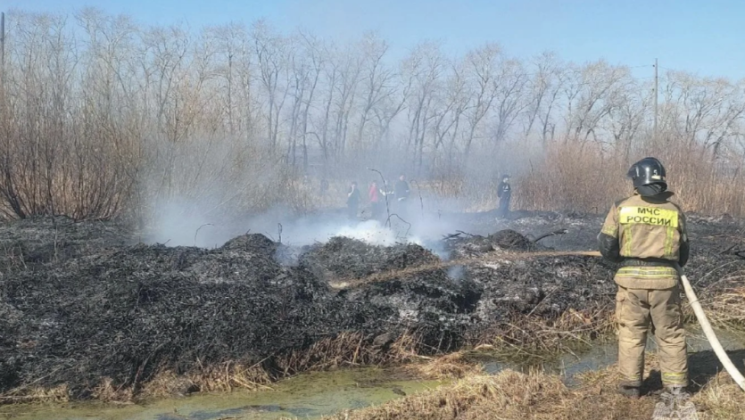 Фото В Челябинске едва не вспыхнуло СНТ Тракторосад-3 