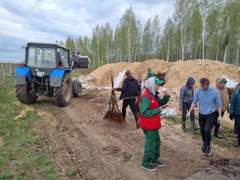 Фото Промышленные сады Челябинской области открывают сезон высадки саженцев