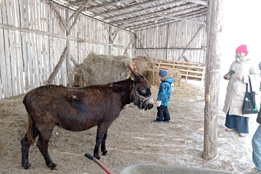 Фото В Челябинской области начинается отбор проектов на получение грантов «Агротуризм»