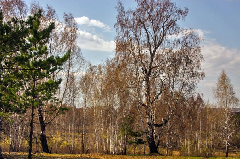 Фото Погода в Челябинской области девятого апреля – тепло и без осадков
