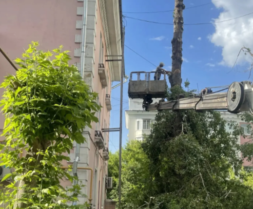 Фото Более 20 грузовиков древесины и 213 коммунальных ЧП: как Челябинск ликвидирует последствия урагана