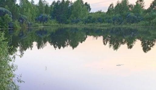 Фото В районе деревни Моховички утонула девочка