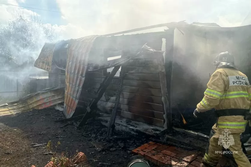 Фото В СНТ Красноармейского округа тушили пожар