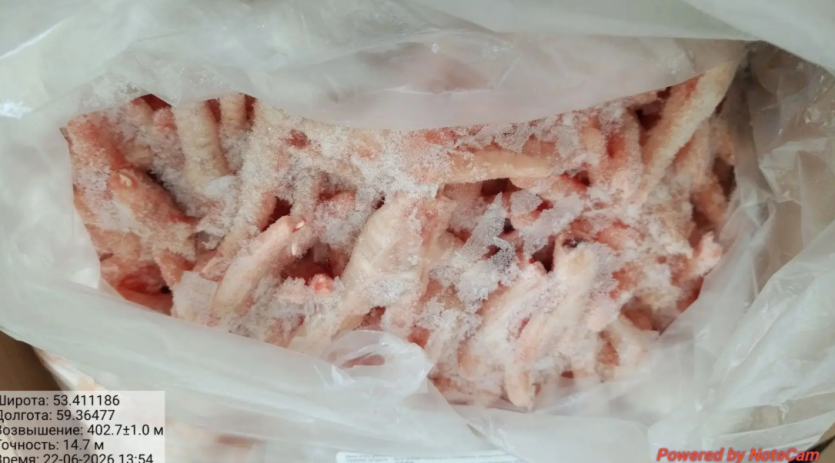 Фото Из Челябинской области отправили 20 тонн куриных лап в Китай