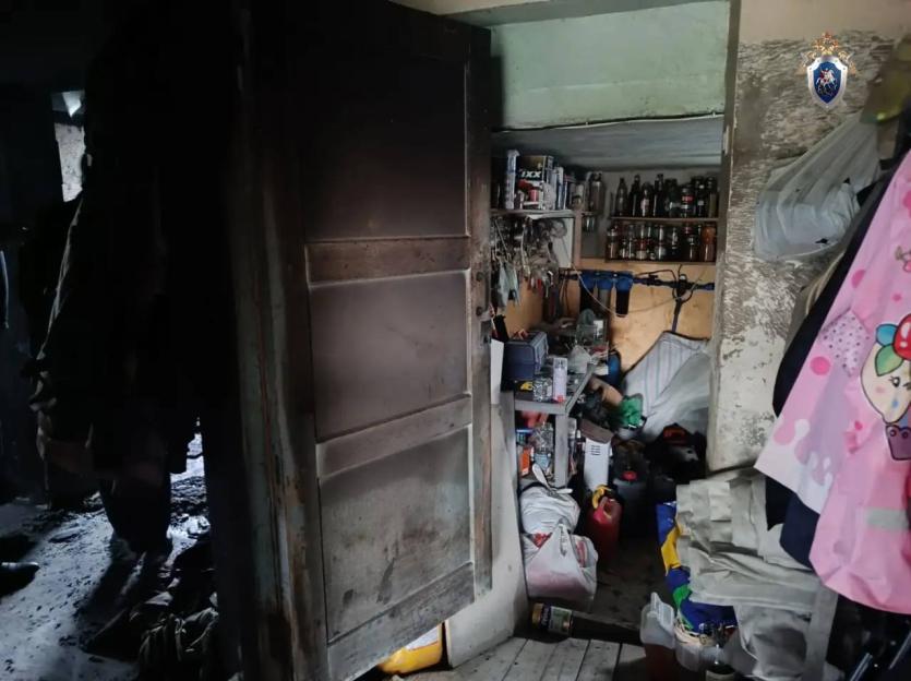 Фото Трагический пожар в СНТ под Копейском перерос в уголовное дело