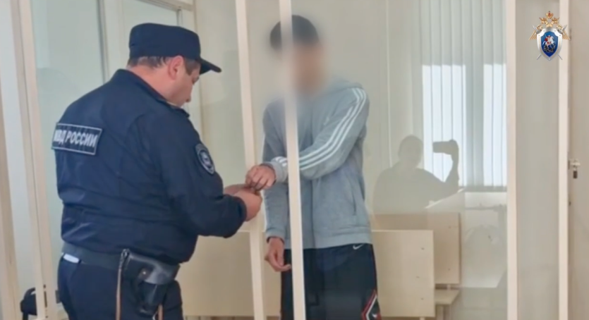 Фото В Челябинске будут судить двух юных братьев-диверсантов из Златоуста (ВИДЕО)