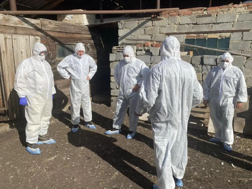 Фото Челябинск готов оперативно реагировать на птичий грипп