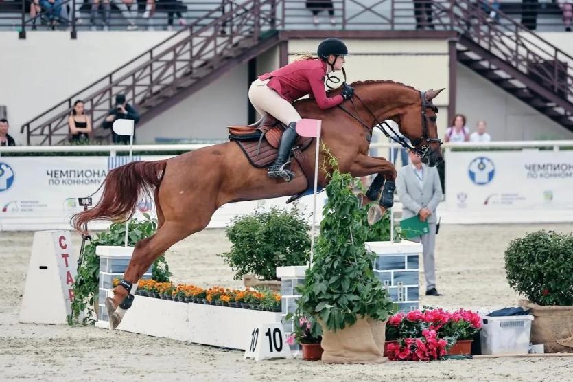 Фото Челябинская спортсменка выступит на Чемпионате мира по конному спорту в Германии
