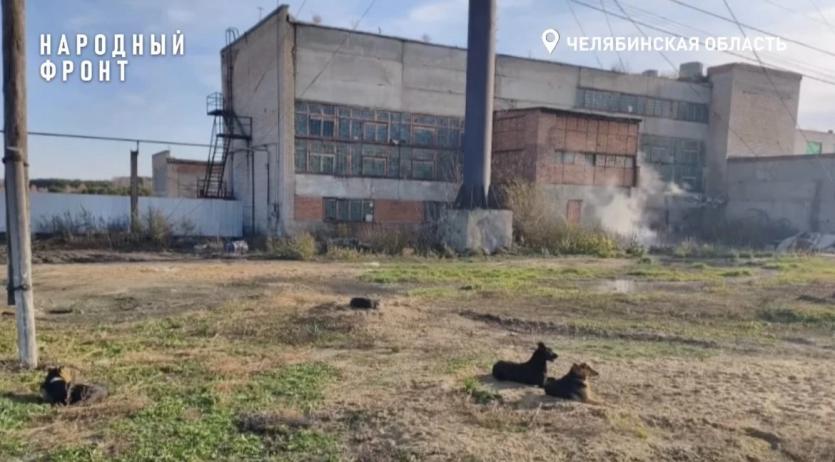 Фото Зловонное производство отравляет жизнь южноуральцам